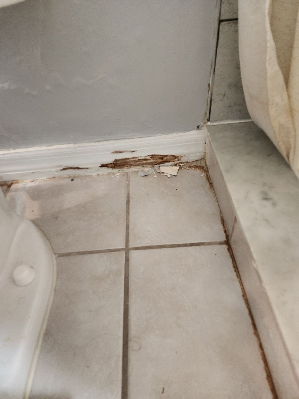 Damaged tile grout and water damaged baseboard in Fort Myers FL bathroom